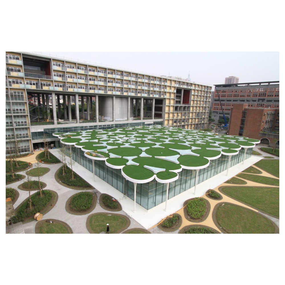 台大社科館樹狀造型柱 台大社科館樹狀造型柱